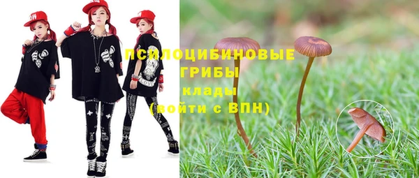 МДМА Белокуриха