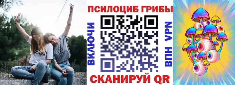 Купить закладки Кодинск Псилоцибиновые грибы GOLDEN TEACHER